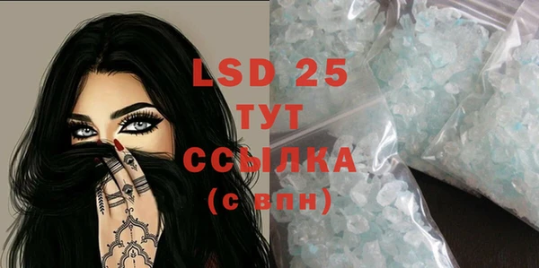 ГАЛЛЮЦИНОГЕННЫЕ ГРИБЫ Баксан