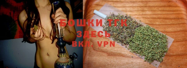 ГАЛЛЮЦИНОГЕННЫЕ ГРИБЫ Баксан
